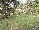 Forest Creek QLD 4873