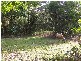 Forest Creek QLD 4873