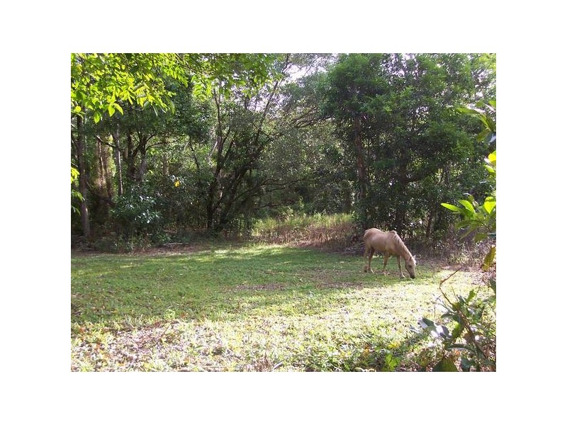 Forest Creek QLD 4873