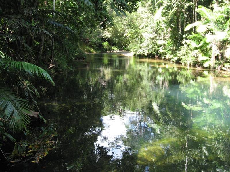 Cow Bay QLD 4873