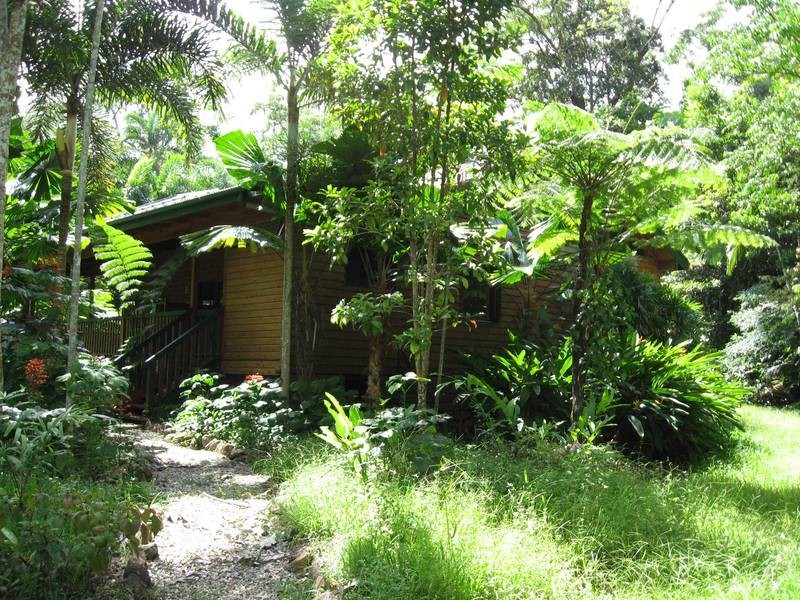 Cow Bay QLD 4873