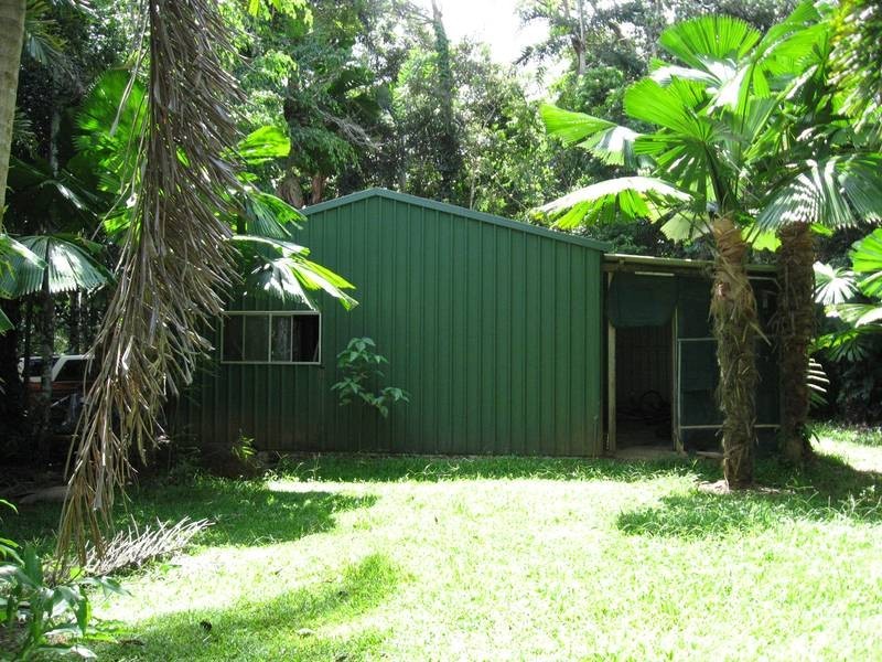 Cow Bay QLD 4873