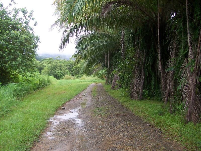 Diwan QLD 4873