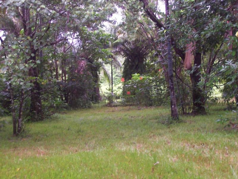 Diwan QLD 4873