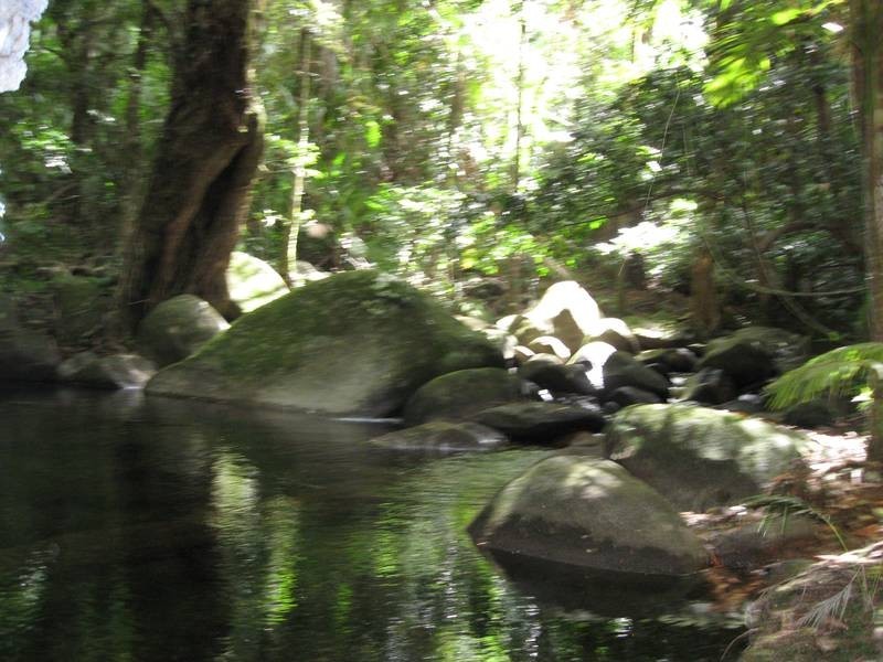 Diwan QLD 4873