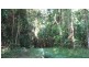 Lot 2 Stewart Creek Road, Daintree QLD 4873