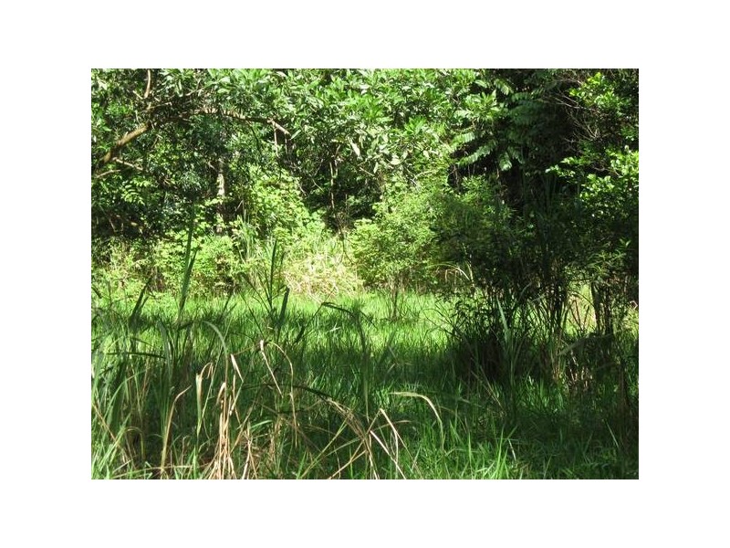 Forest Creek QLD 4873