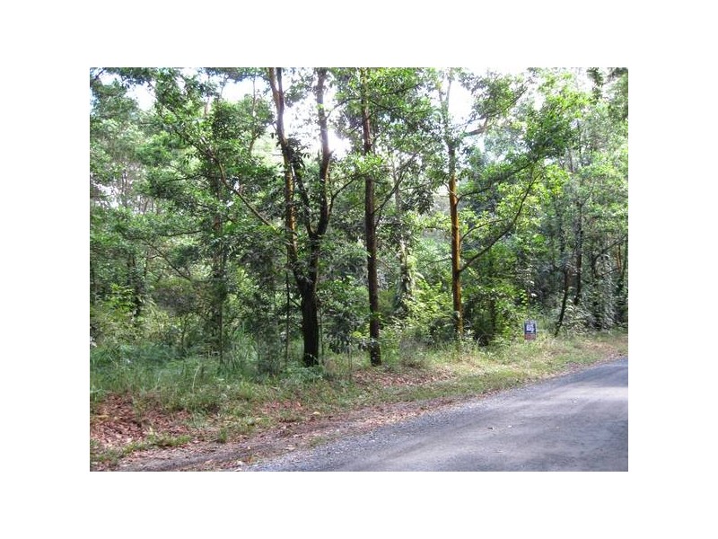 Forest Creek QLD 4873