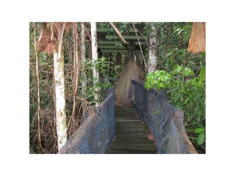 Forest Creek QLD 4873