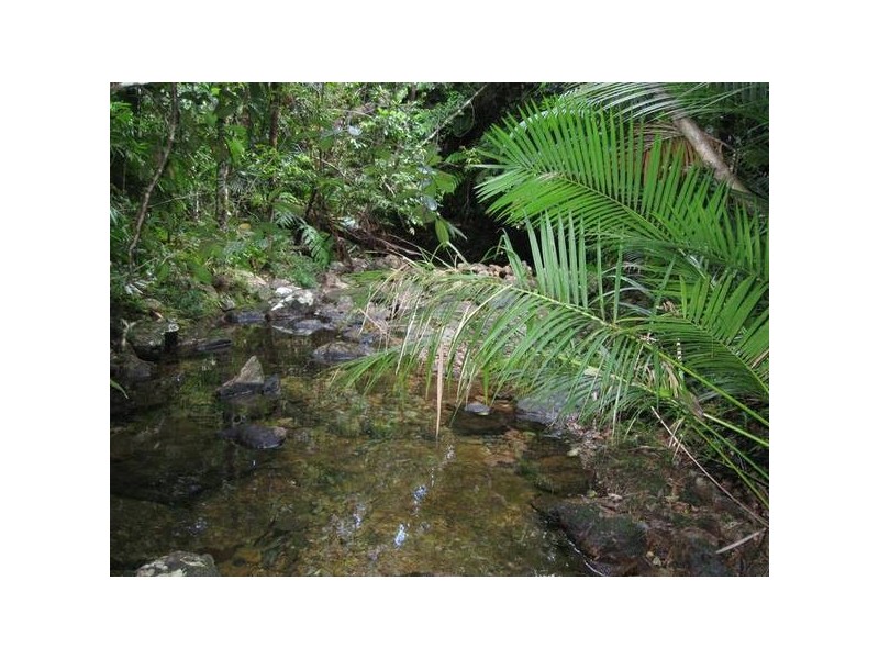 Forest Creek QLD 4873