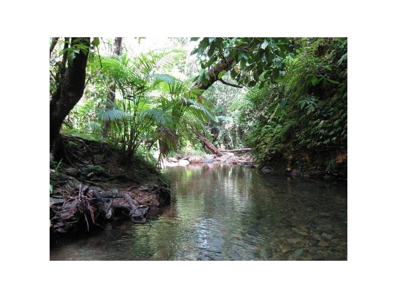 Forest Creek QLD 4873