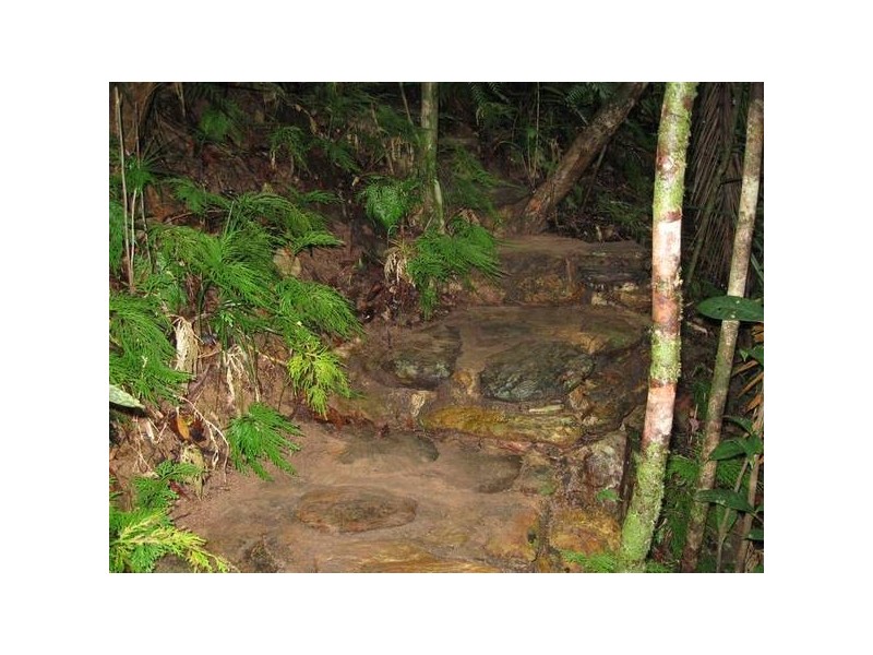 Forest Creek QLD 4873