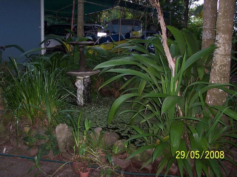 Mossman QLD 4873
