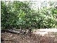 126 Rosewood Road, Cow Bay QLD 4873