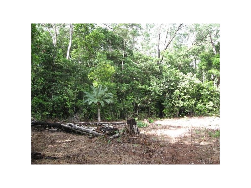 126 Rosewood Road, Cow Bay QLD 4873