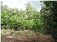 126 Rosewood Road, Cow Bay QLD 4873