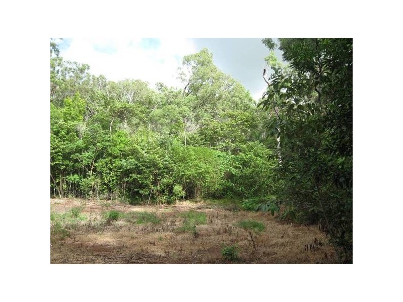 126 Rosewood Road, Cow Bay QLD 4873