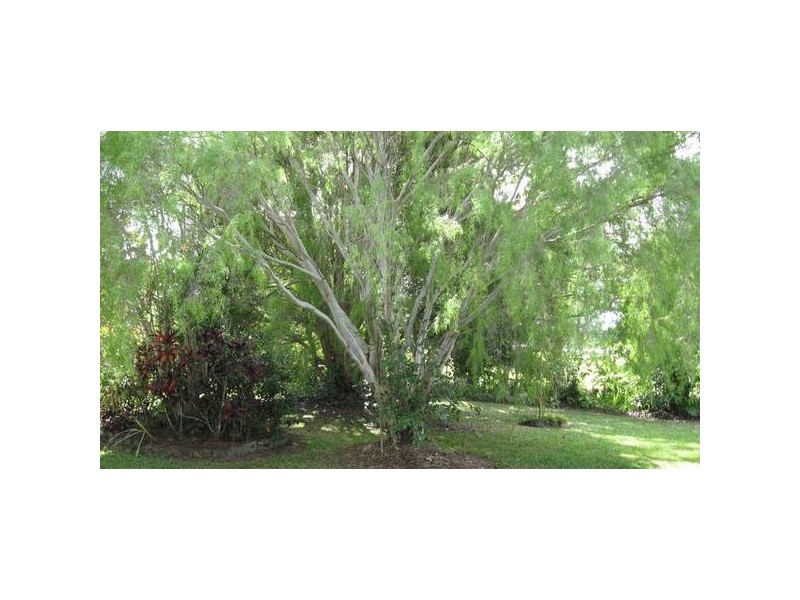 Julatten QLD 4871