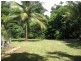 Cow Bay QLD 4873