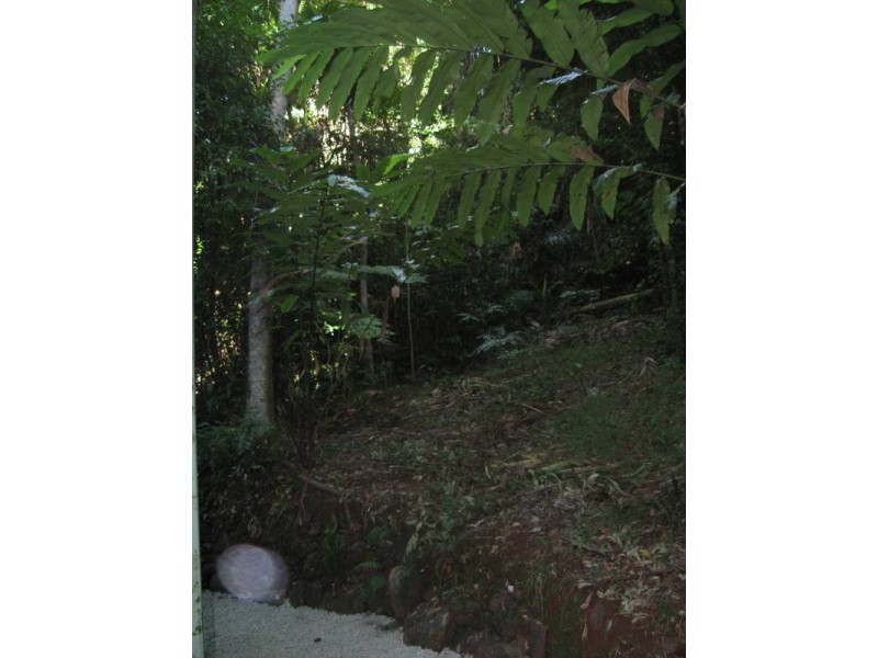 Diwan QLD 4873