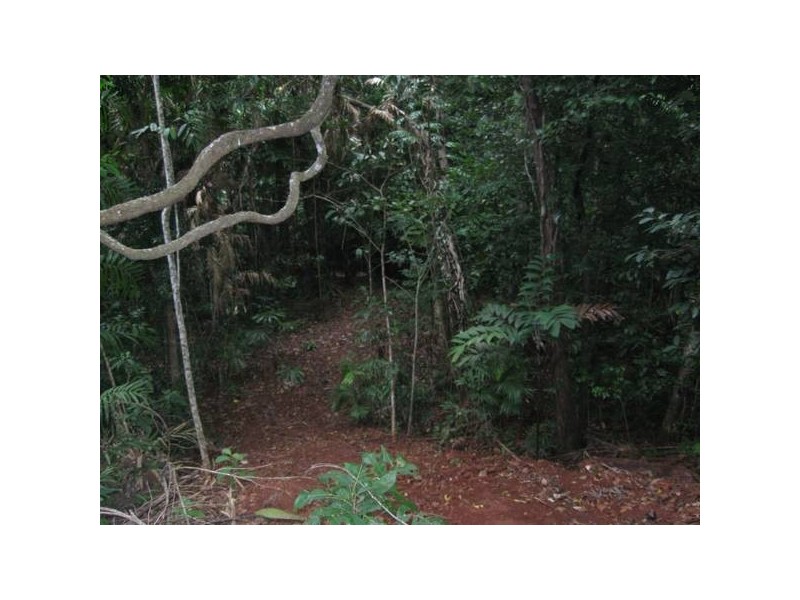 Lot 139 Buchanan Creek Road, Cow Bay QLD 4873