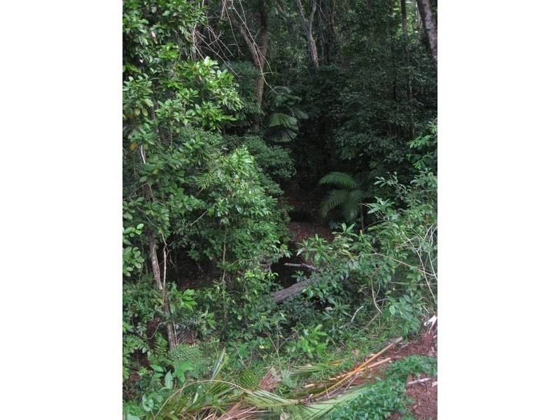 Lot 139 Buchanan Creek Road, Cow Bay QLD 4873