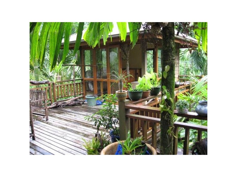 Cape Tribulation QLD 4873