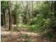Forest Creek QLD 4873