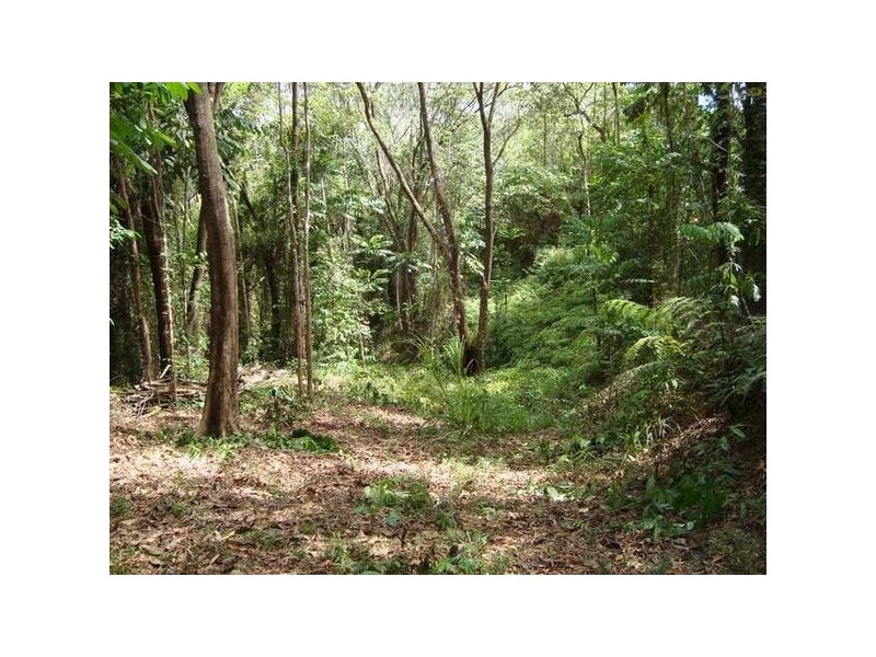 Forest Creek QLD 4873