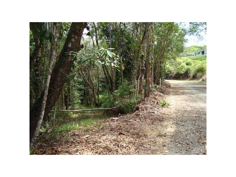 Forest Creek QLD 4873