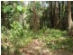 Forest Creek QLD 4873