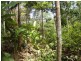 Forest Creek QLD 4873