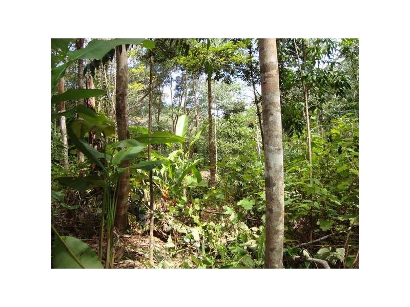 Forest Creek QLD 4873