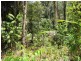 Forest Creek QLD 4873