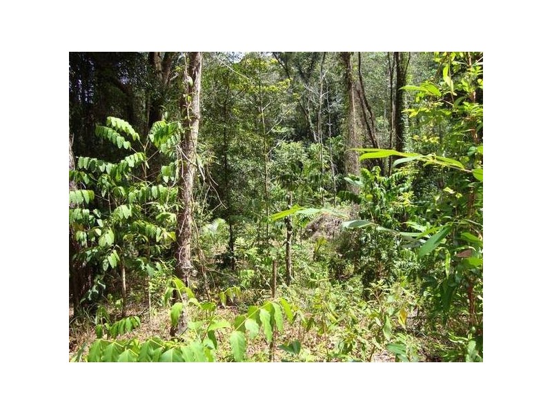 Forest Creek QLD 4873