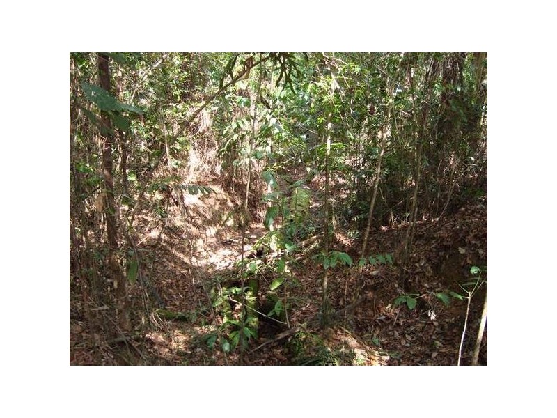 Forest Creek QLD 4873