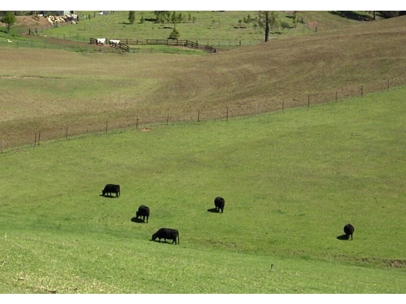 10 Bowen Mountain Road, Grose Vale NSW 2753