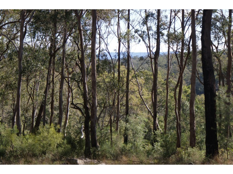 Lot 5, 71a Whalan Road, East Kurrajong NSW 2758