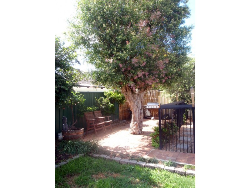 227 Mileham Street, South Windsor NSW 2756