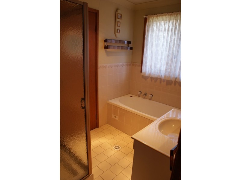 115 Porpoise Crescent, Bligh Park NSW 2756