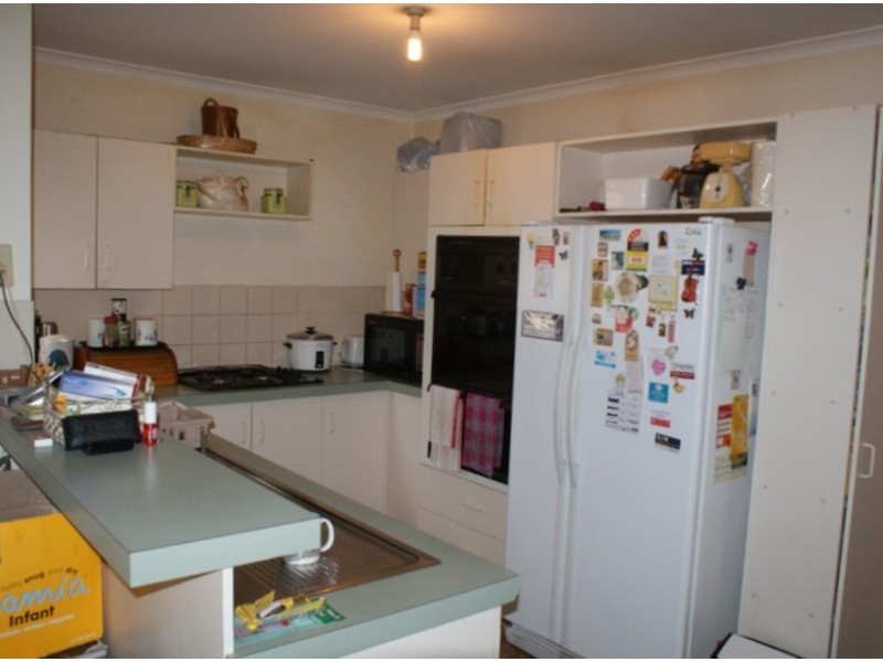 81 Guardian Crescent, Bligh Park NSW 2756