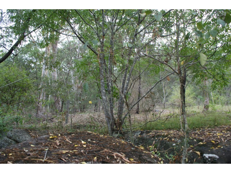 621 Greens Road, Lower Portland NSW 2756