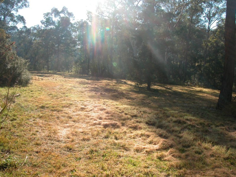 33 Kentucky Drive, Glossodia NSW 2756