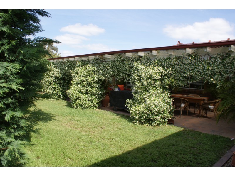 2 Albert Place, Bligh Park NSW 2756