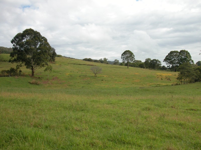 12 Bowen Mountain Road, Grose Vale NSW 2753