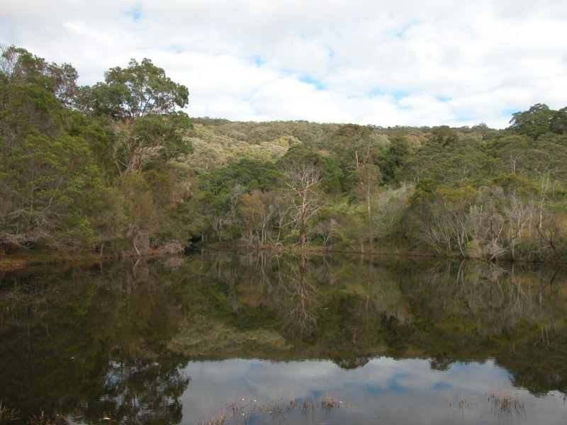 12 Bowen Mountain Road, Grose Vale NSW 2753