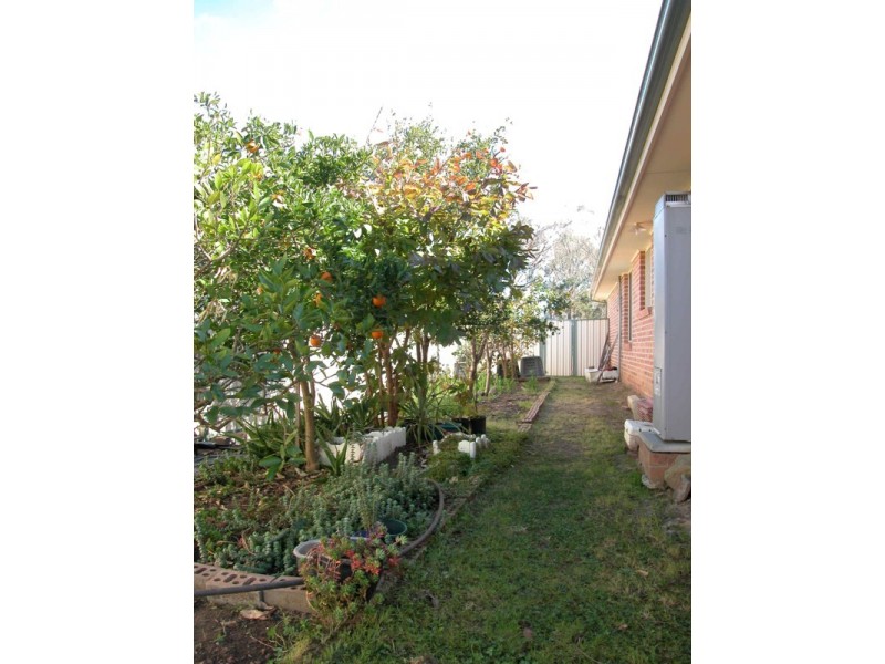 6 Kentwell Drive, Bligh Park NSW 2756