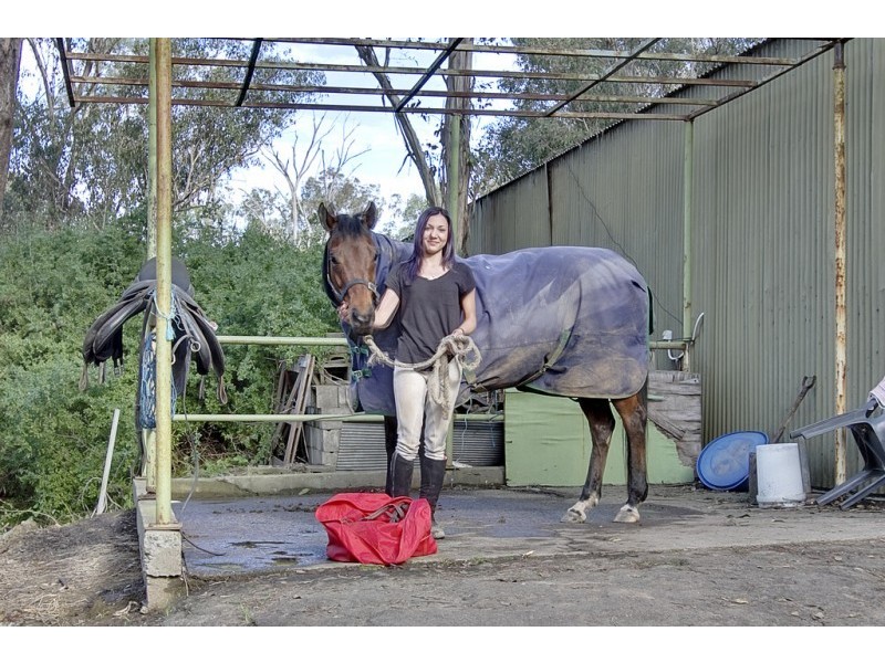 308 Fairey Road, South Windsor NSW 2756