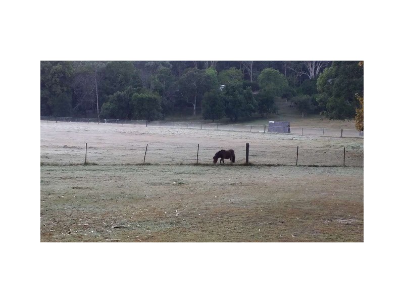 A/1042 River Road, Lower Portland NSW 2756