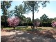 50 Barkly Drive, Windsor Downs NSW 2756